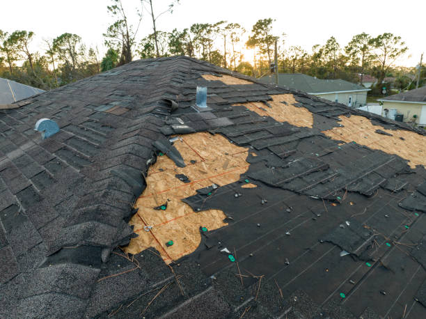 Best Asphalt Shingle Roofing  in San Bruno, CA